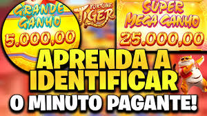 microgaming Cartaz