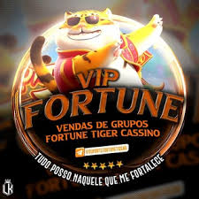 horário do fortune rabbit ícone